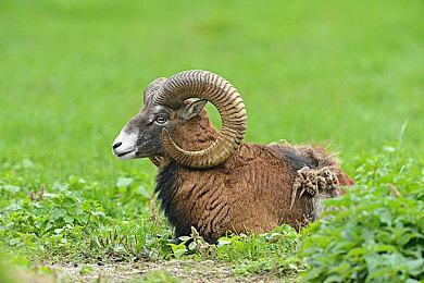 P社警告《城市：天际线2》PC版 将有性能问题